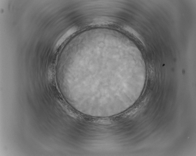 X0000071760874200607282145