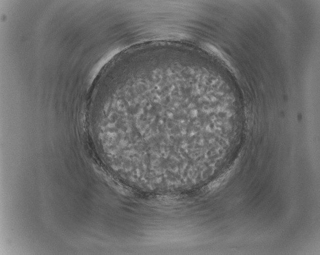 X0000071760875200607282145