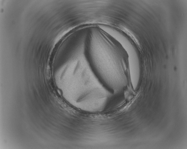 X0000071760876200607282145