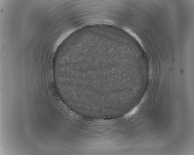 X0000071760877200607282145