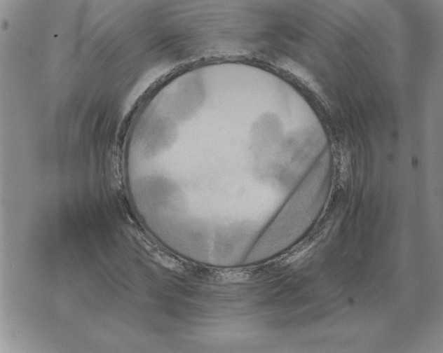 X0000071760878200607282145