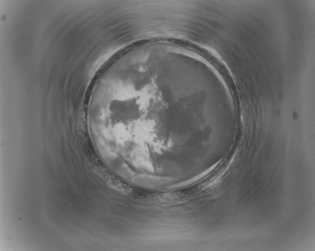 X0000071760879200607282145