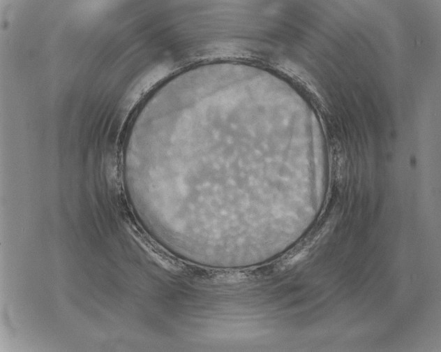 X0000071760882200607282145