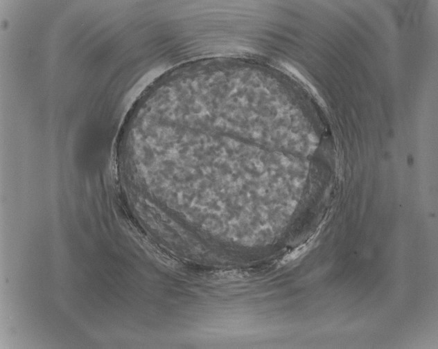 X0000071760883200607282145