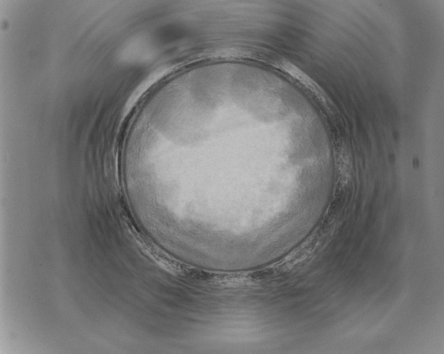 X0000071760886200607282145