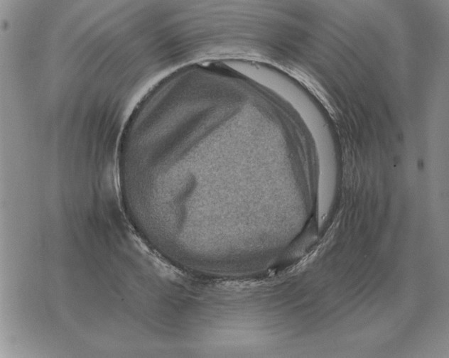 X0000071760888200607282145