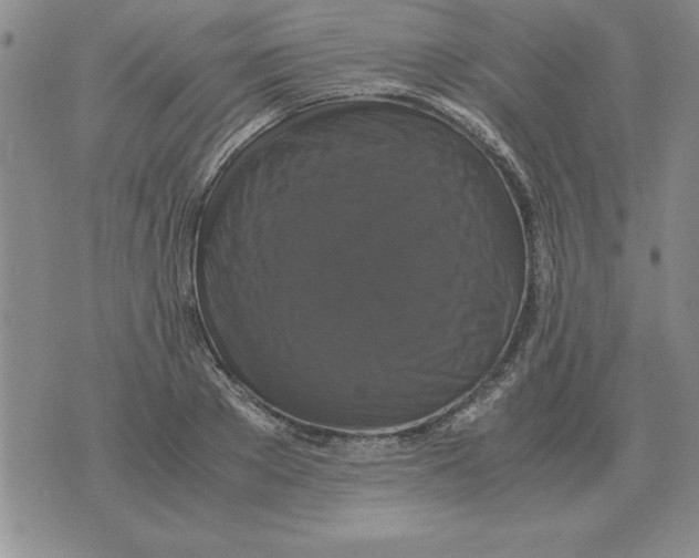 X0000071760889200607282145