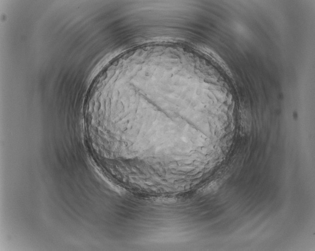 X0000071760890200607282145