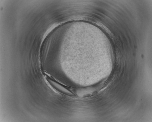 X0000071760894200607282145