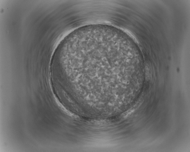 X0000071760895200607282145