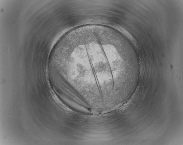 X0000071760896200607282145