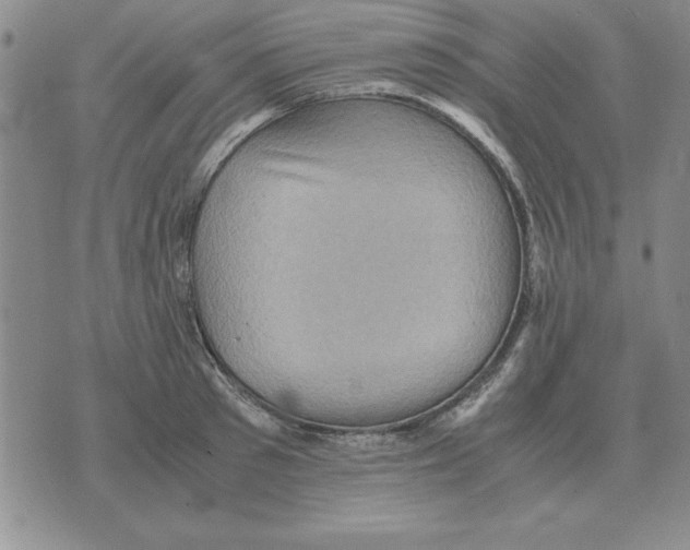 X0000071760897200607282145