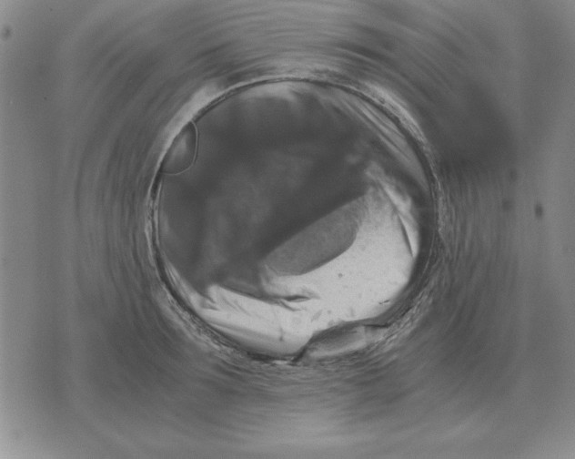 X0000071760899200607282145