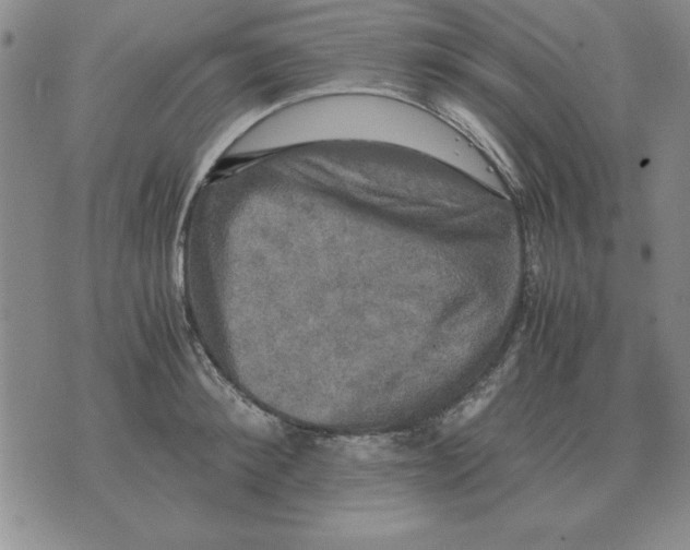 X0000071760900200607282145