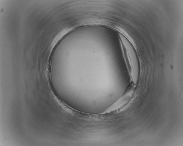 X0000071760901200607282145