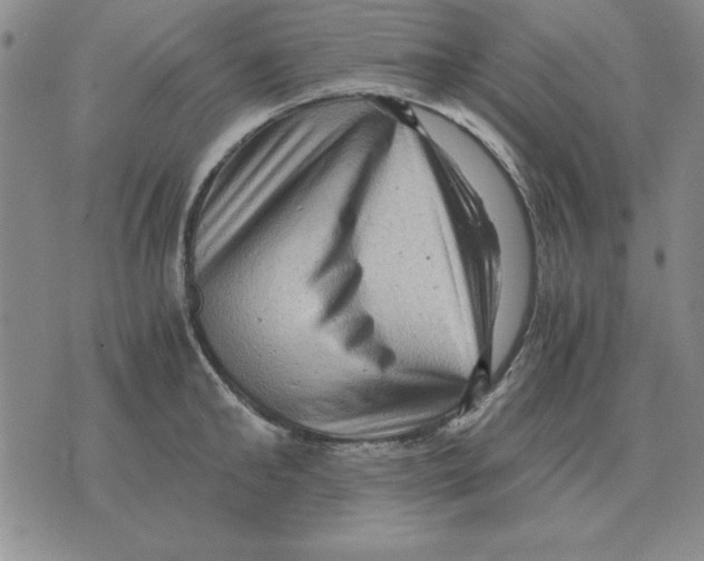 X0000071760902200607282145