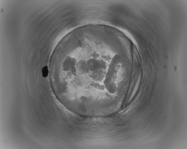 X0000071760903200607282145