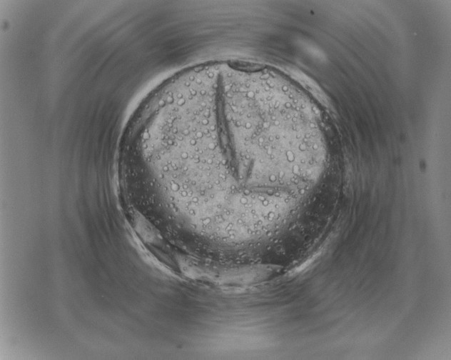 X0000071760904200607282145