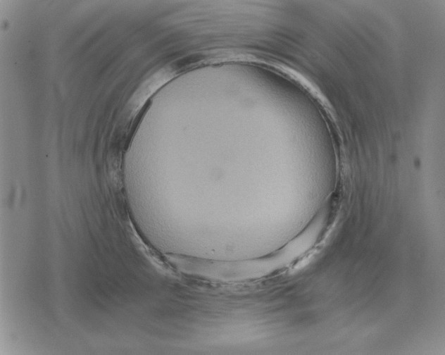 X0000071760905200607282145