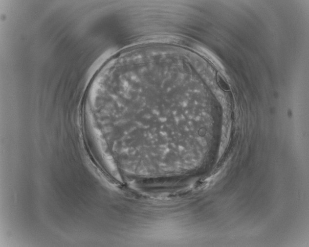 X0000071760907200607282145