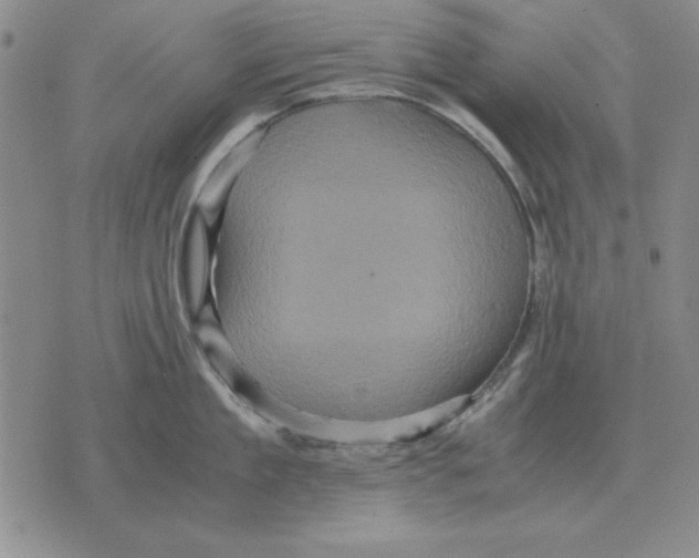 X0000071760909200607282144