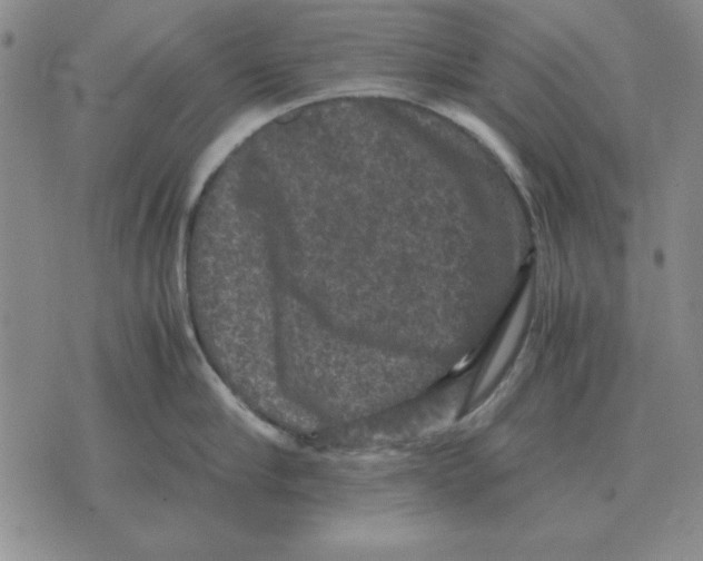 X0000071760910200607282144