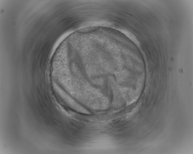 X0000071760912200607282144