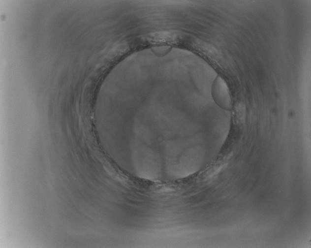 X0000071760913200607282144