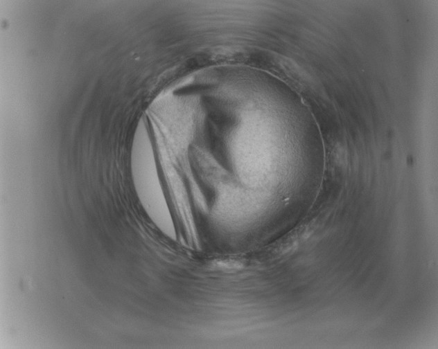 X0000071760914200607282144