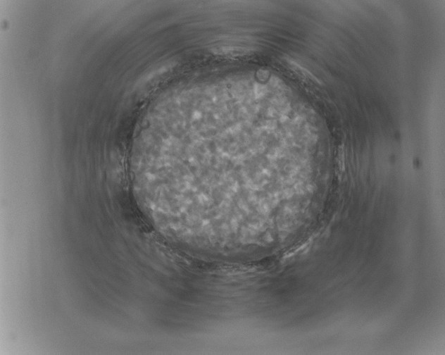 X0000071760917200607282144