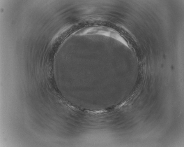 X0000071760919200607282144