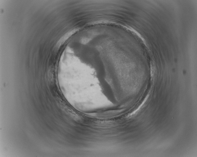 X0000071760921200607282144