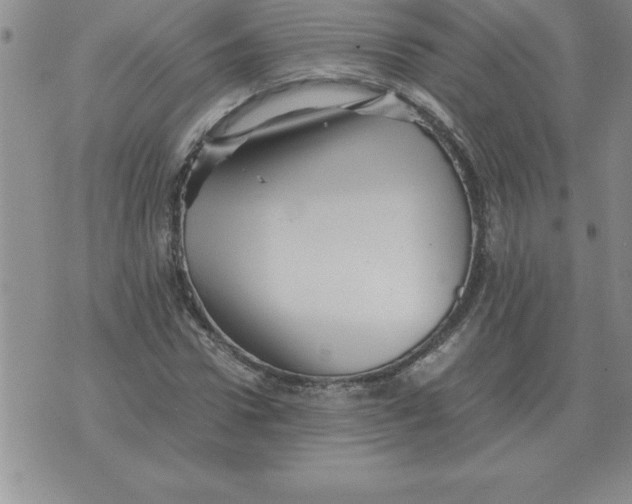 X0000071760922200607282144