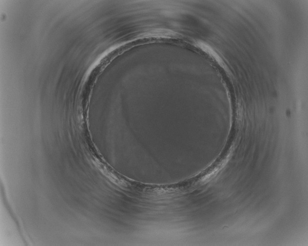 X0000071760923200607282144