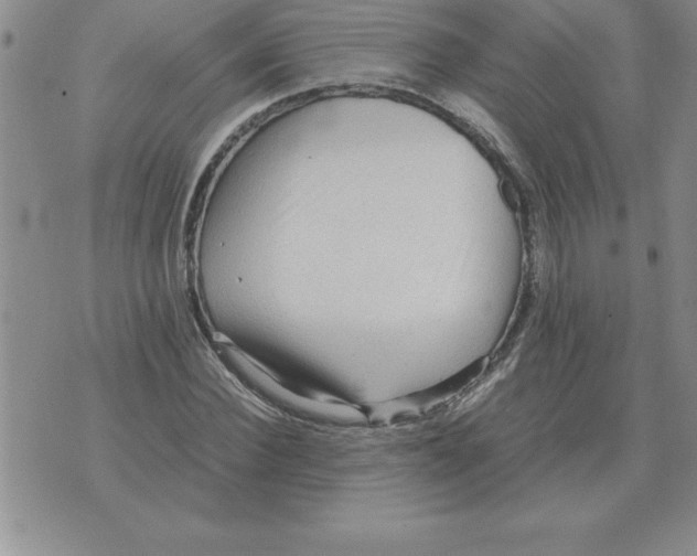 X0000071760924200607282144