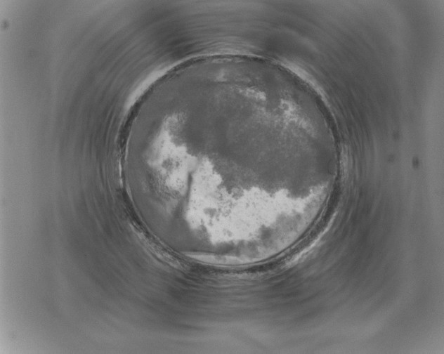 X0000071760925200607282144