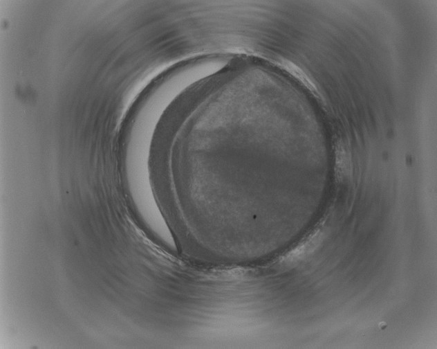 X0000071760926200607282144