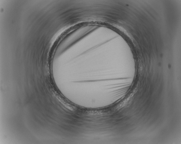 X0000071760927200607282144