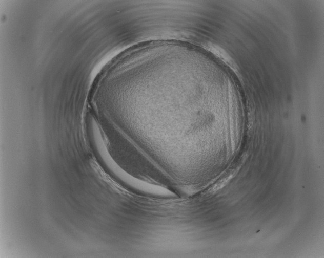 X0000071760928200607282144