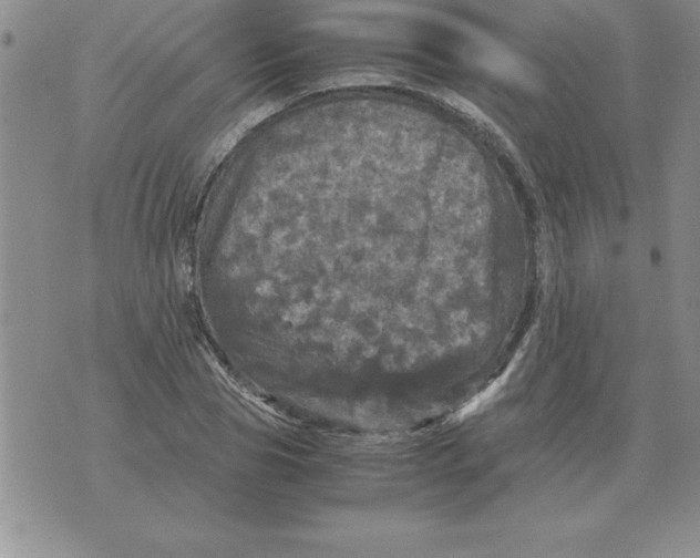 X0000071760929200607282144