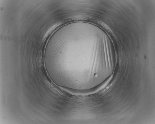 X0000071760930200607282144