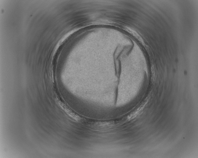 X0000071760931200607282144