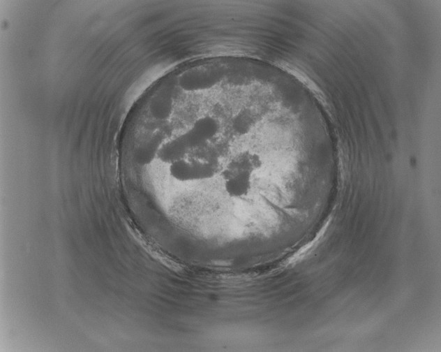 X0000071760933200607282144