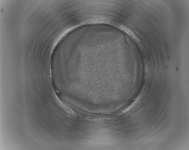 X0000071760934200607282144