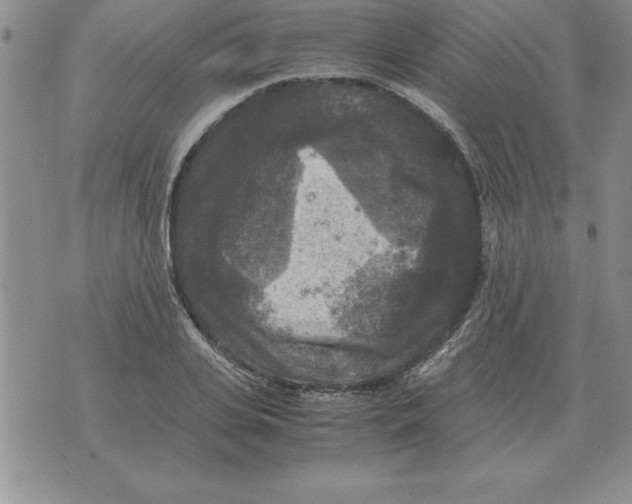 X0000071760935200607282144