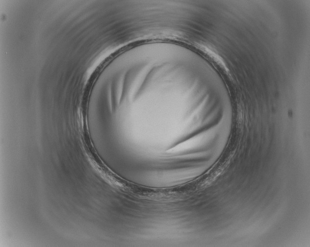 X0000071760936200607282144