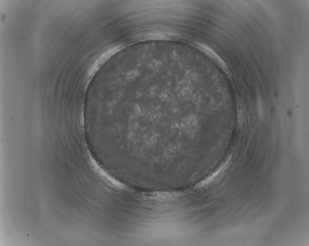 X0000071760938200607282144