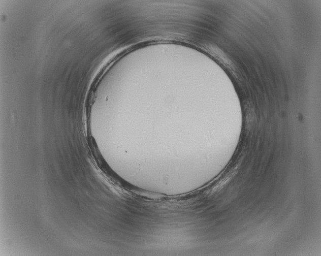 X0000071760940200607282144