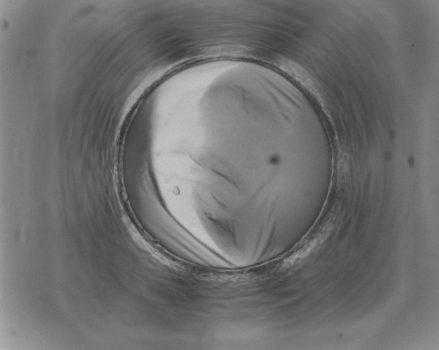 X0000071760941200607282144