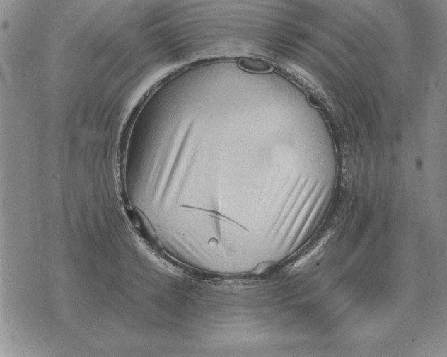 X0000071760942200607282144